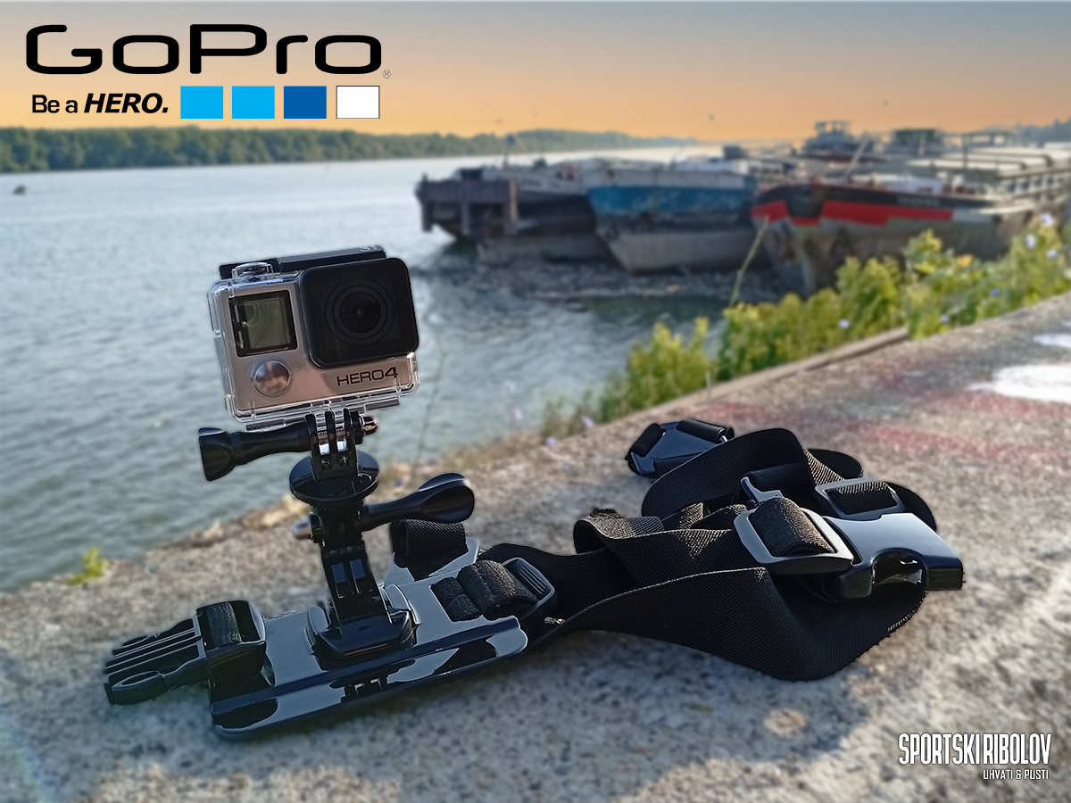 Gopro Hero 4 Silver